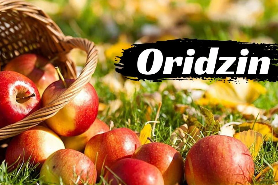 oridzin